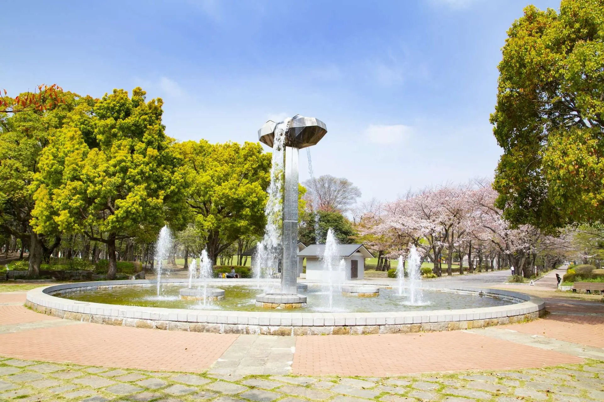 🌳 후추 숲 공원 (후추노모리 코엔) 이미지 8